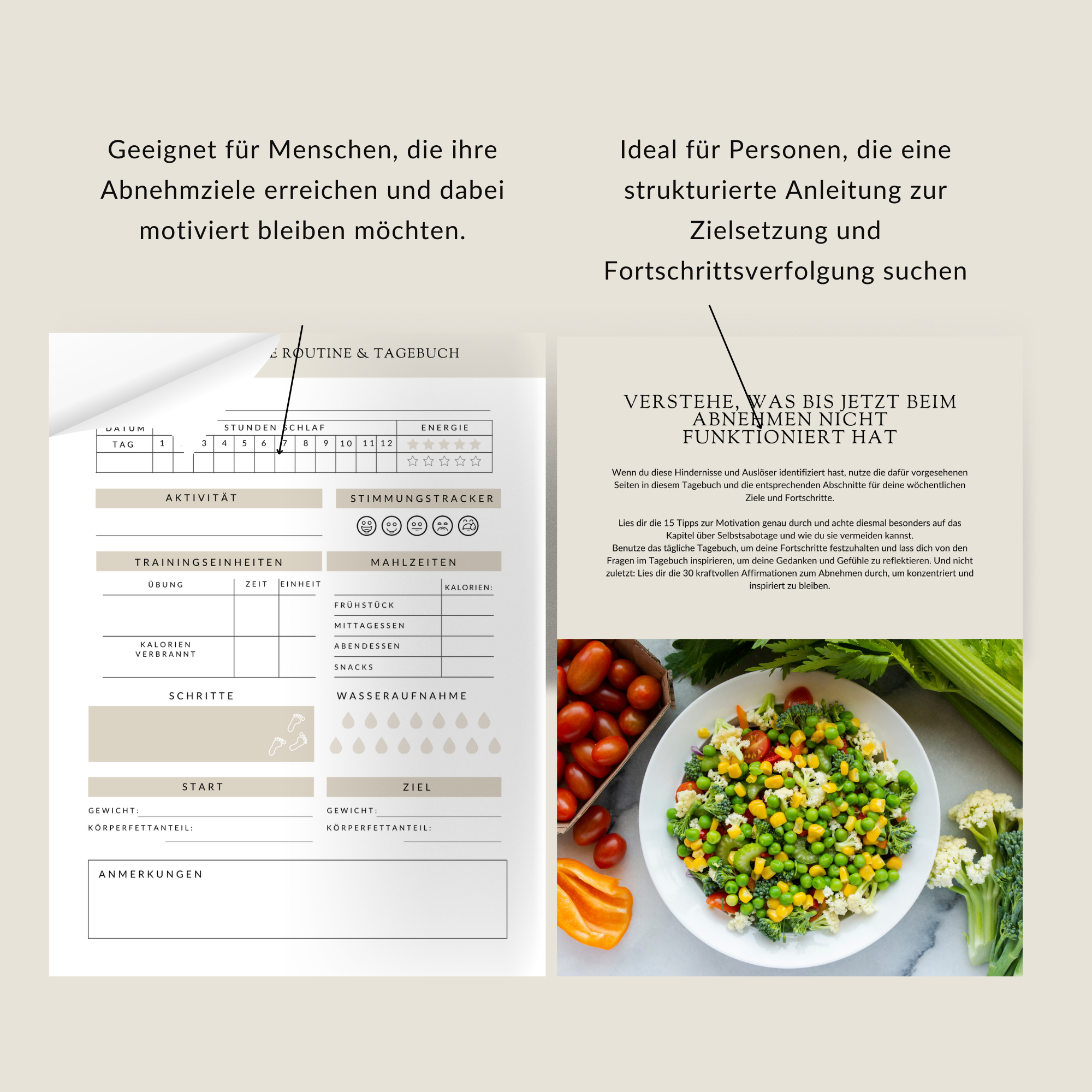 Motivationsstratregie um gesund Abzunehmen:  Ein Workbook, das dir dabei hilft dich zu motivieren um deine  Abnehmziele gesund zu erreichen